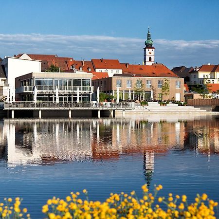 Seenario - Art&Health Hotel am See Tirschenreuth Exterior foto